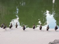DSCN2904